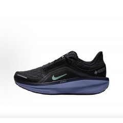 Nike Winflo 11 GORE-TEX