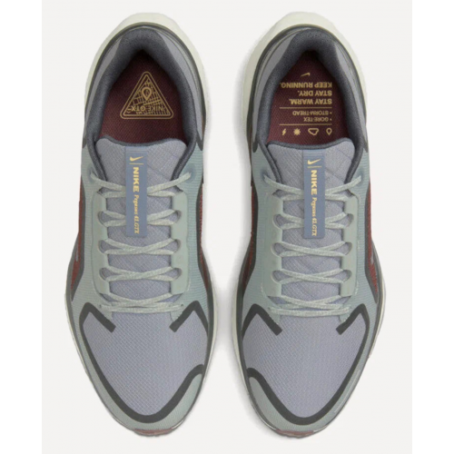 Nike Air Zoom Pegasus 41 Gore-Tex 'Light Pumice Burgundy Crush'