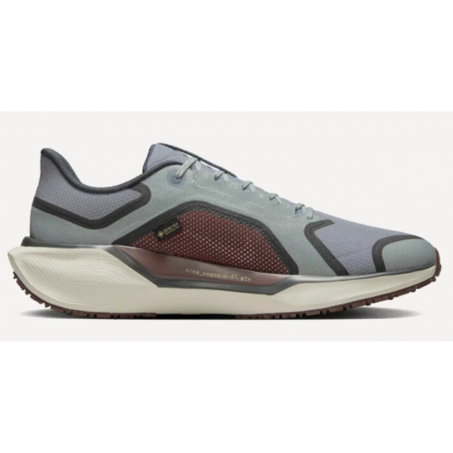 Nike Air Zoom Pegasus 41 Gore-Tex 'Light Pumice Burgundy Crush'